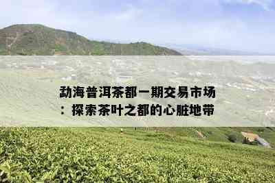 勐海普洱茶都一期交易市场：探索茶叶之都的心脏地带