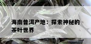 海南普洱产地：探索神秘的茶叶世界