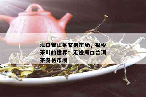 海口普洱茶交易市场，探索茶叶的世界：走进海口普洱茶交易市场