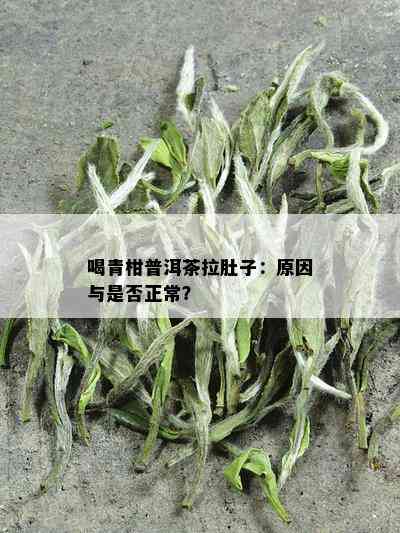 喝青柑普洱茶拉肚子：原因与是否正常？