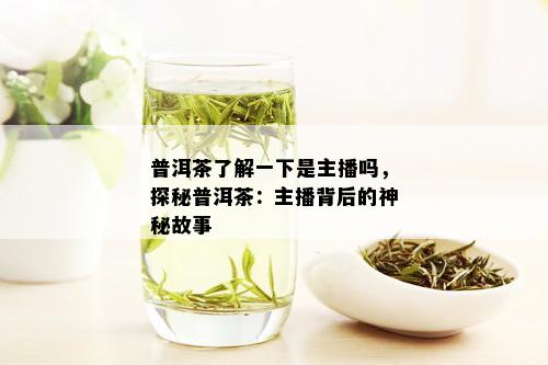 普洱茶了解一下是主播吗，探秘普洱茶：主播背后的神秘故事