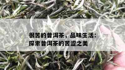 很苦的普洱茶，品味生活：探索普洱茶的苦涩之美