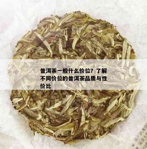 普洱茶一般什么价位？了解不同价位的普洱茶品质与性价比