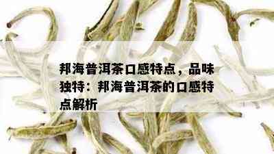 邦海普洱茶口感特点，品味独特：邦海普洱茶的口感特点解析