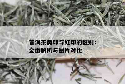 普洱茶黄印与红印的区别：全面解析与图片对比