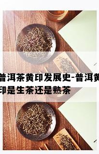 普洱茶黄印发展史-普洱黄印是生茶还是熟茶