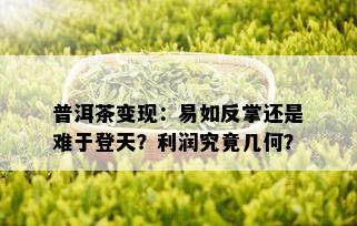 普洱茶变现：易如反掌还是难于登天？利润究竟几何？