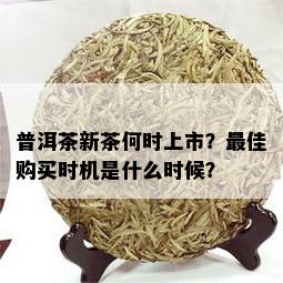 普洱茶新茶何时上市？更佳购买时机是什么时候？