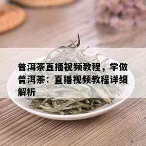 普洱茶直播视频教程，学做普洱茶：直播视频教程详细解析