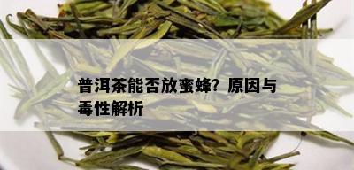 普洱茶能否放蜜蜂？原因与性解析