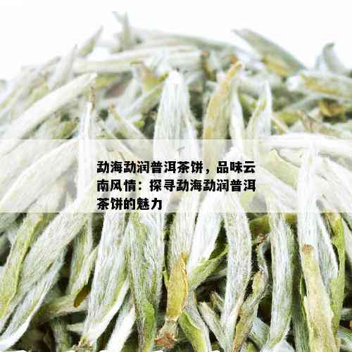 勐海勐润普洱茶饼，品味云南风情：探寻勐海勐润普洱茶饼的魅力