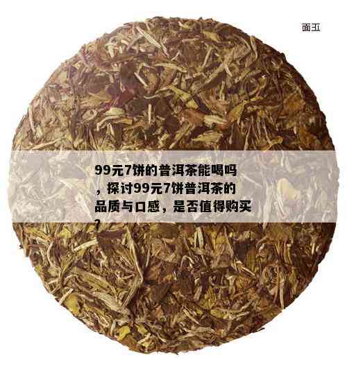 99元7饼的普洱茶能喝吗，探讨99元7饼普洱茶的品质与口感，是否值得购买？