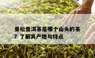 曼松普洱茶是哪个山头的茶？了解其产地与特点