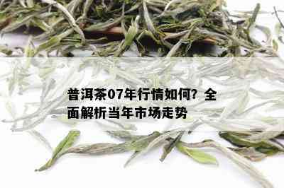 普洱茶07年行情如何？全面解析当年市场走势