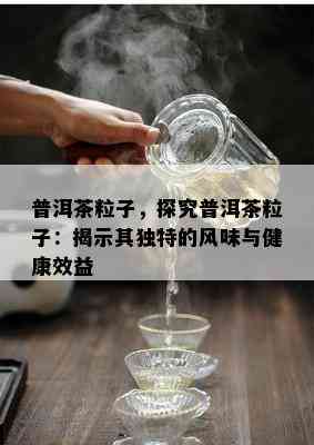 普洱茶粒子，探究普洱茶粒子：揭示其独特的风味与健康效益