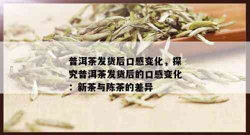 普洱茶发货后口感变化，探究普洱茶发货后的口感变化：新茶与陈茶的差异