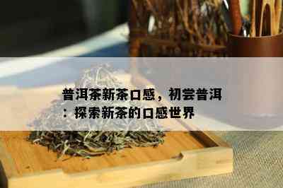 普洱茶新茶口感，初尝普洱：探索新茶的口感世界