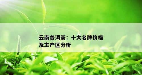 云南普洱茶：十大名牌价格及主产区分析