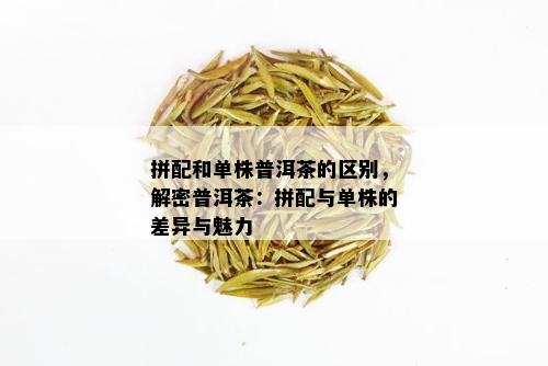 拼配和单株普洱茶的区别，解密普洱茶：拼配与单株的差异与魅力