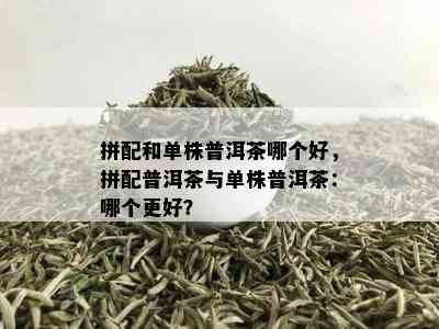 拼配和单株普洱茶哪个好，拼配普洱茶与单株普洱茶：哪个更好？