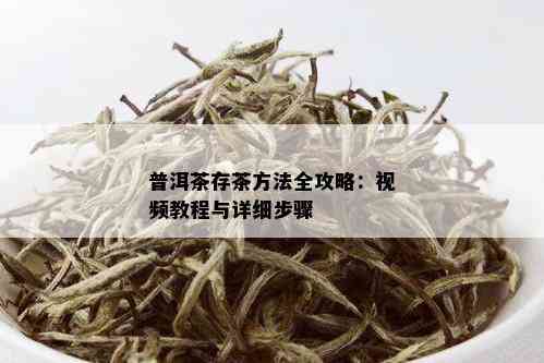 普洱茶存茶方法全攻略：视频教程与详细步骤