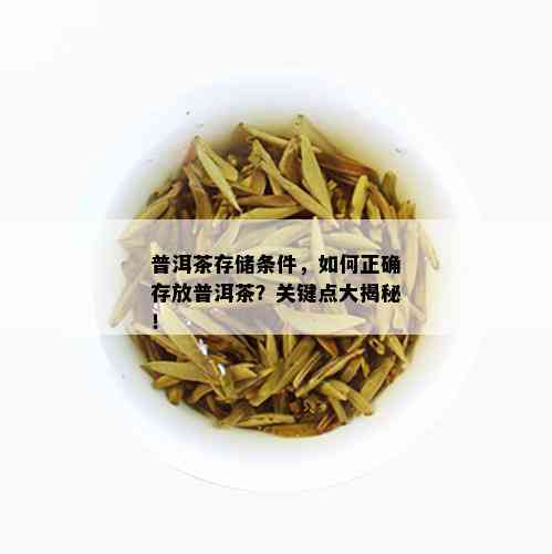 普洱茶存储条件，如何正确存放普洱茶？关键点大揭秘！