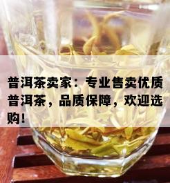 普洱茶卖家：专业售卖优质普洱茶，品质保障，欢迎选购！