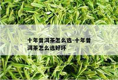 十年普洱茶怎么选-十年普洱茶怎么选好坏