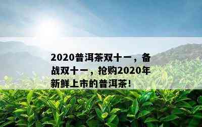 2020普洱茶双十一，备战双十一，抢购2020年新鲜上市的普洱茶！