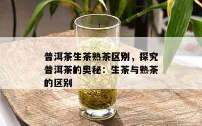 普洱茶生茶熟茶区别，探究普洱茶的奥秘：生茶与熟茶的区别