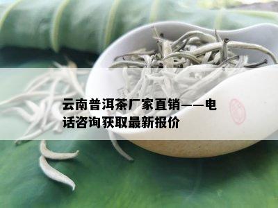 云南普洱茶厂家直销——电话咨询获取最新报价