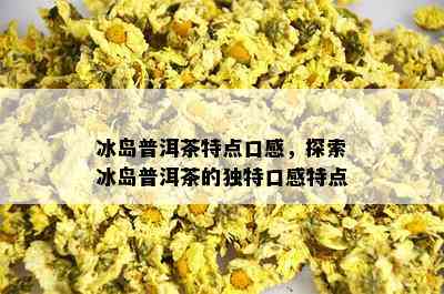 冰岛普洱茶特点口感，探索冰岛普洱茶的独特口感特点