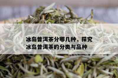 冰岛普洱茶分哪几种，探究冰岛普洱茶的分类与品种