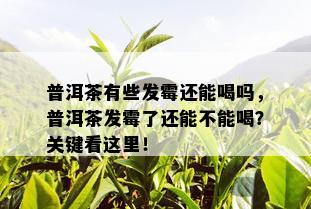 普洱茶有些发霉还能喝吗，普洱茶发霉了还能不能喝？关键看这里！