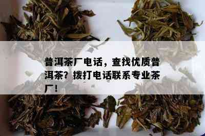 普洱茶厂电话，查找优质普洱茶？拨打电话联系专业茶厂！