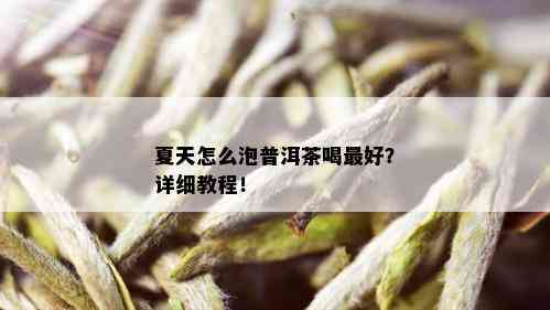 夏天怎么泡普洱茶喝更好？详细教程！