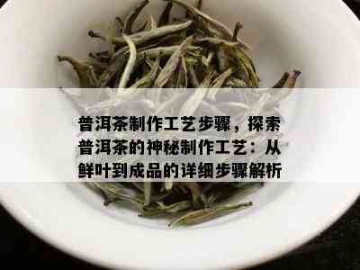 普洱茶制作工艺步骤，探索普洱茶的神秘制作工艺：从鲜叶到成品的详细步骤解析