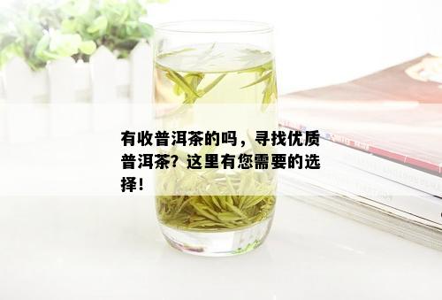 有收普洱茶的吗，寻找优质普洱茶？这里有您需要的选择！