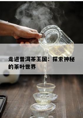 走进普洱茶王国：探索神秘的茶叶世界