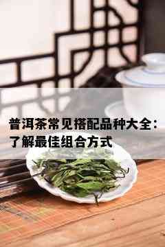 普洱茶常见搭配品种大全：了解更佳组合方式