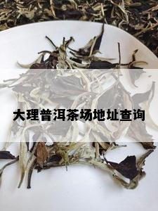 大理普洱茶场地址查询