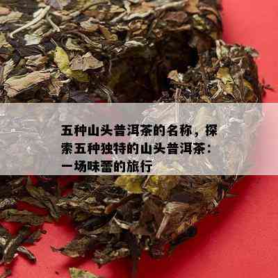 五种山头普洱茶的名称，探索五种独特的山头普洱茶：一场味蕾的旅行