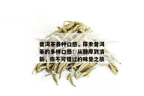 普洱茶各种口感，探索普洱茶的多样口感：从醇厚到清新，你不可错过的味觉之旅