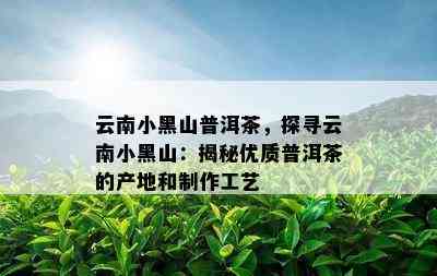 云南小黑山普洱茶，探寻云南小黑山：揭秘优质普洱茶的产地和制作工艺