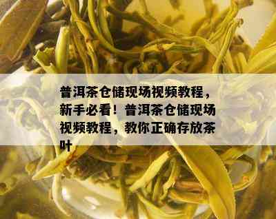 普洱茶仓储现场视频教程，新手必看！普洱茶仓储现场视频教程，教你正确存放茶叶