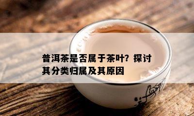 普洱茶是否属于茶叶？探讨其分类归属及其原因