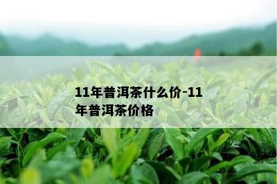 11年普洱茶什么价-11年普洱茶价格