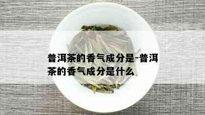 普洱茶的香气成分是-普洱茶的香气成分是什么