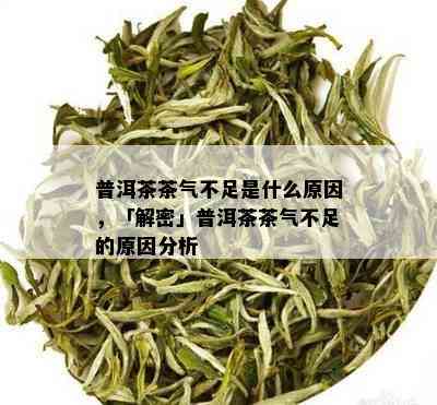 普洱茶茶气不足是什么原因，「解密」普洱茶茶气不足的原因分析