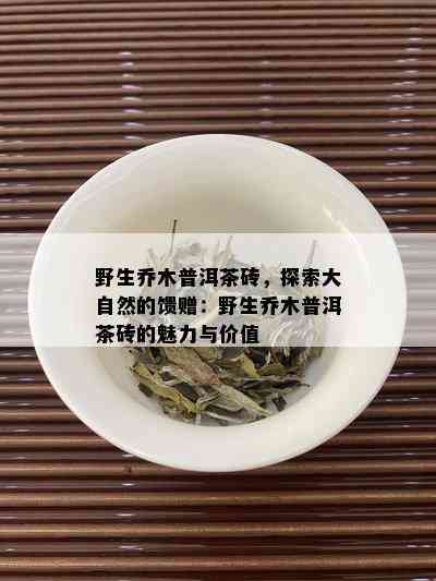 野生乔木普洱茶砖，探索大自然的馈赠：野生乔木普洱茶砖的魅力与价值